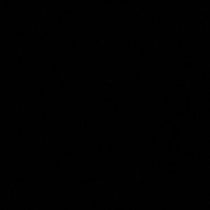 Meet your Posher, Inas